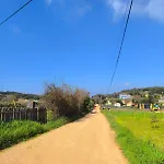 Sara *
