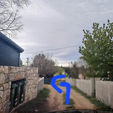 Sara רוביני