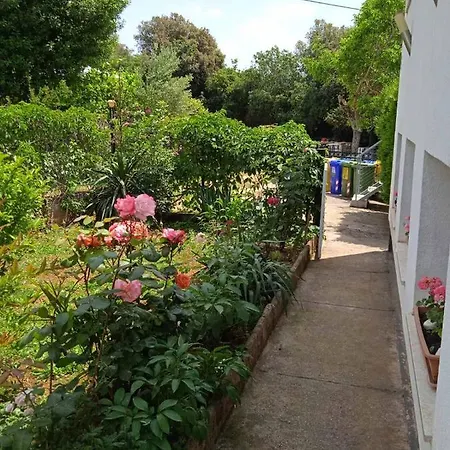 Apartmán Sara