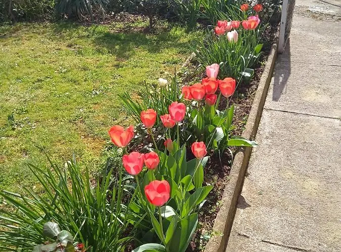 아파트 Sara 로비니